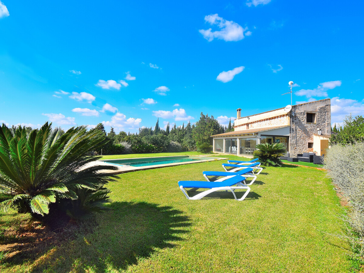 Villa 6 pers. à Muro, piscine 4x10m et jardin aux orangers - Photo 35