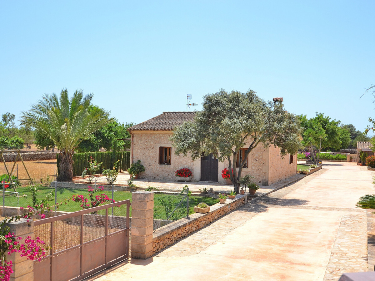 Villa 4 pers. avec piscine privée 6x5m à Santa Margalida - Photo 22