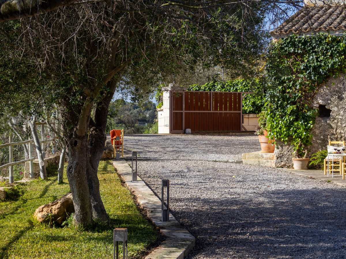 Gîte 4 pers. à Can Picafort : piscine privée et jardin - Photo 5