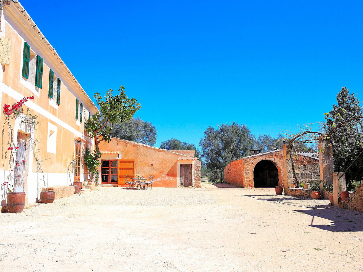 Finca Majorquine avec animaux et piscine 4x8m - Photo 2