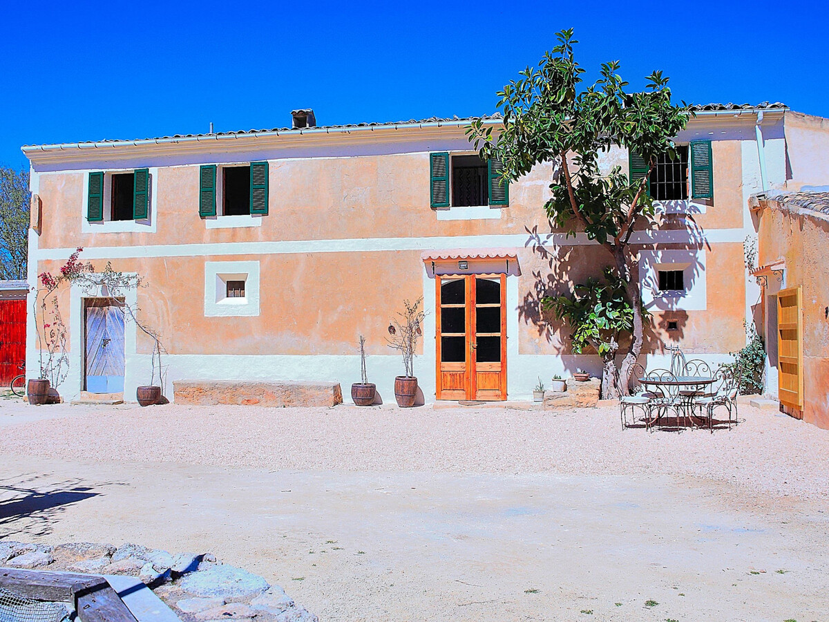 Finca Majorquine avec animaux et piscine 4x8m - Photo 3