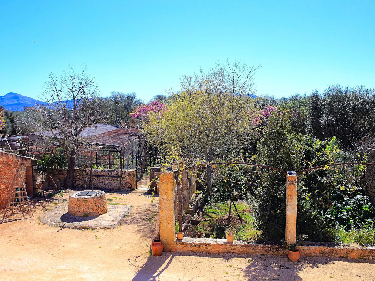 Finca Majorquine avec animaux et piscine 4x8m - Photo 17