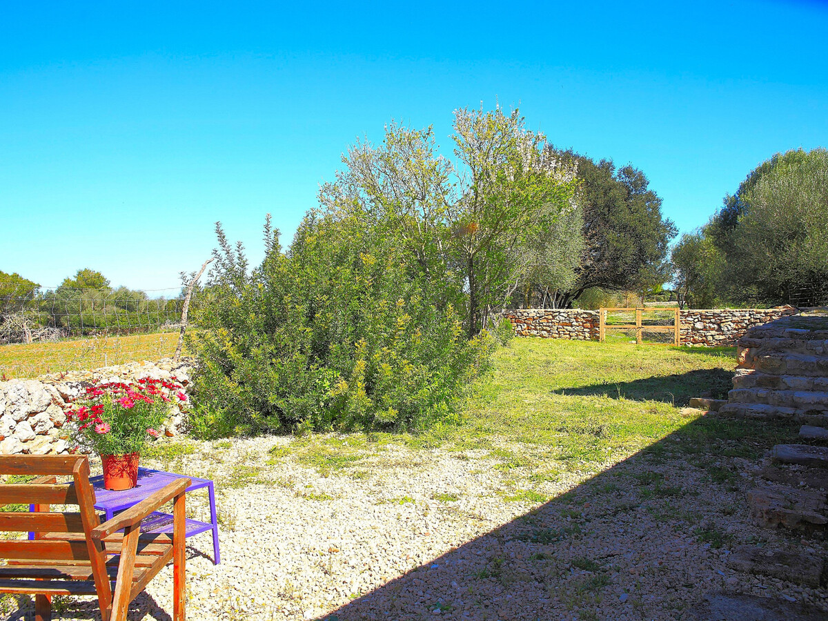 Finca Majorquine avec animaux et piscine 4x8m - Photo 18