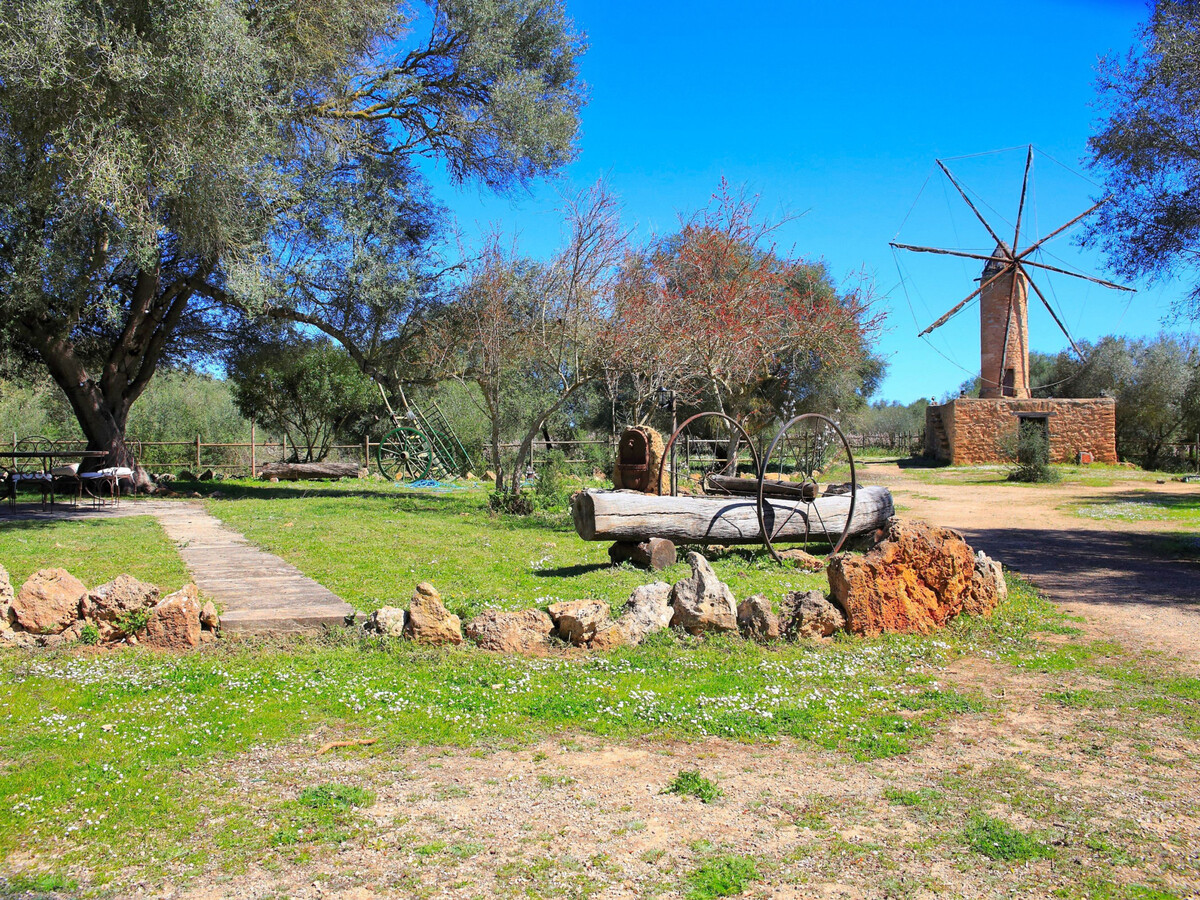 Finca Majorquine avec animaux et piscine 4x8m - Photo 20