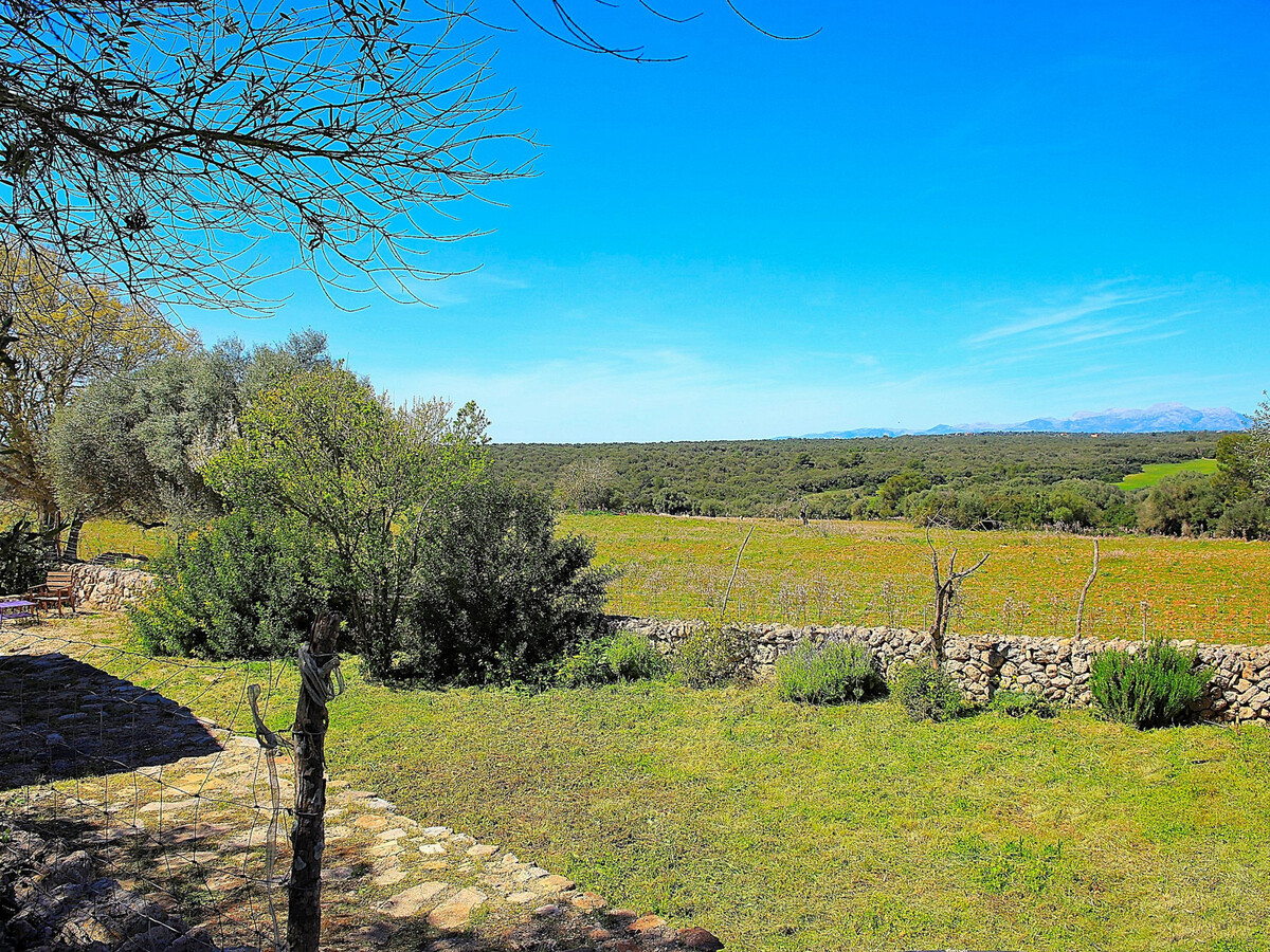 Finca Majorquine avec animaux et piscine 4x8m - Photo 21