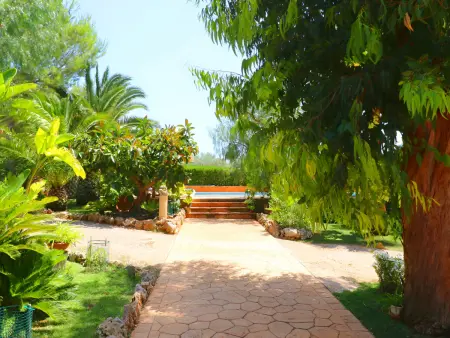 Finca Majorquine avec Piscine Privée et Climatisation : photo 18