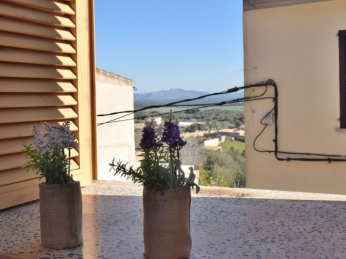 Maison typique Majorque à Maria de la Salut - Photo 15
