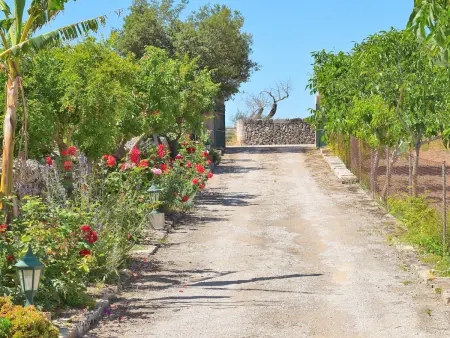 Finca 4 pers. Santa Margalida avec piscine 8x4m : photo 11