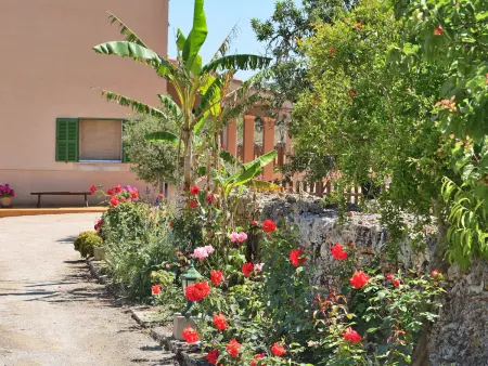 Finca 4 pers. Santa Margalida avec piscine 8x4m : photo 23