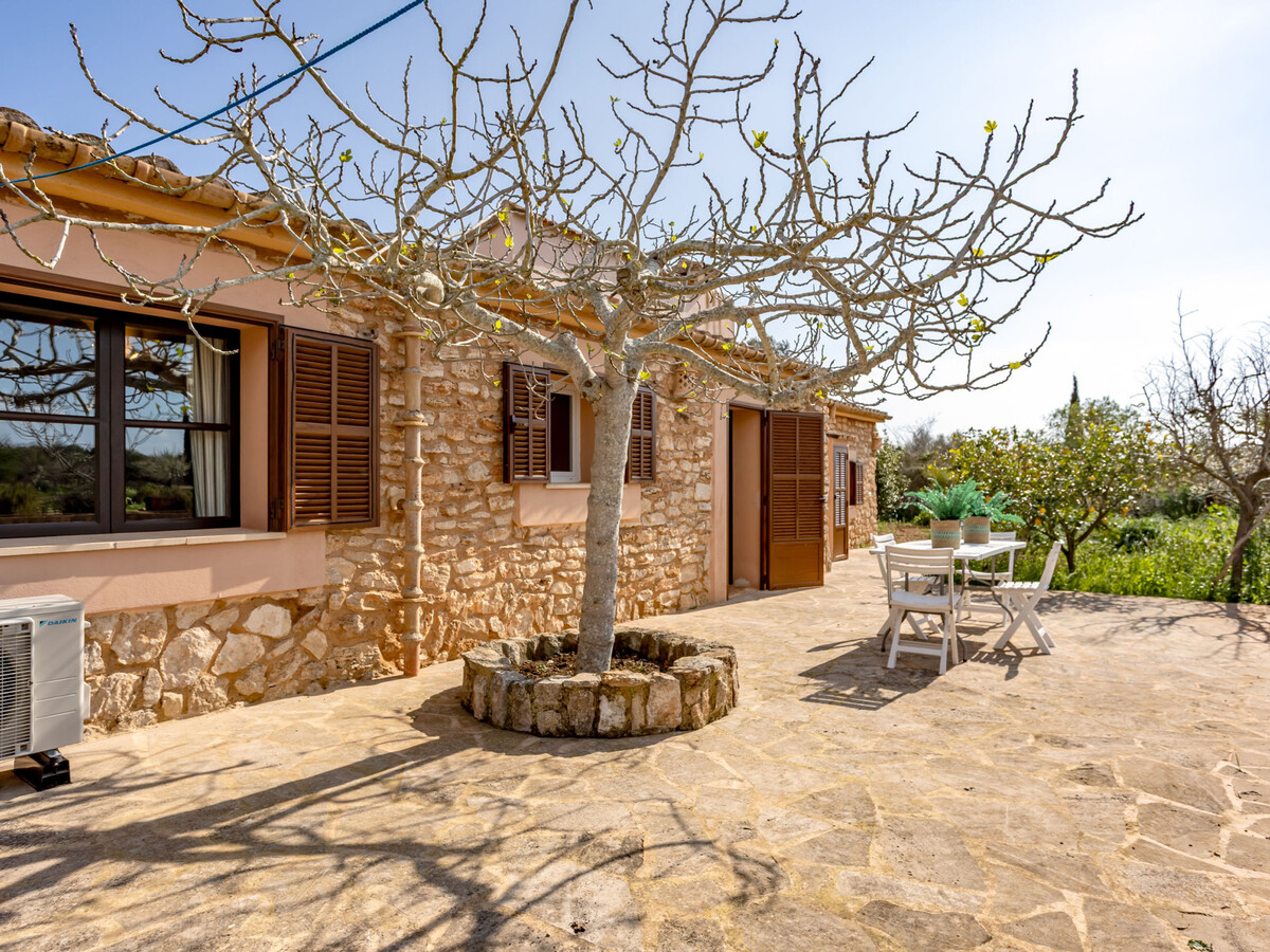 Gîte rural 6 pers. piscine privée près de Santanyí - Photo 36