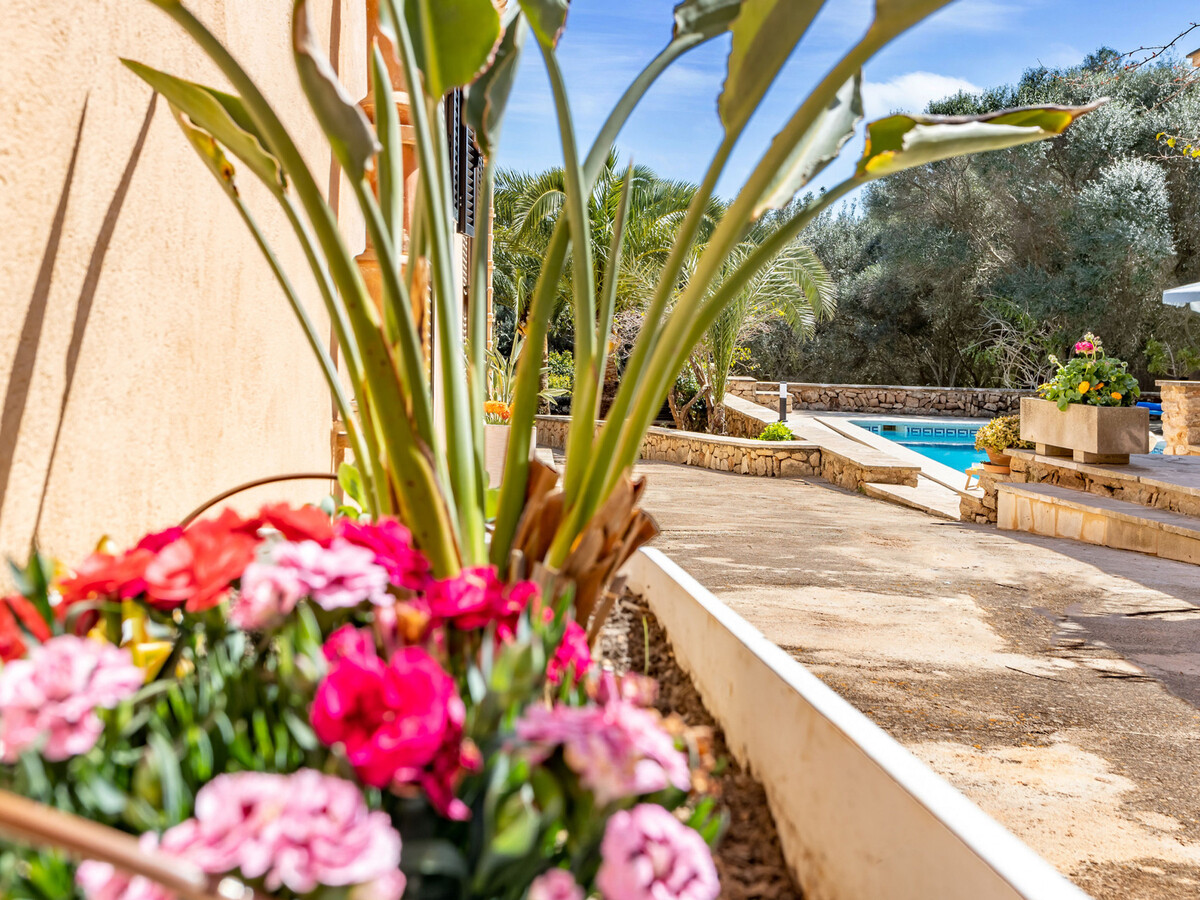 Finca majorquine 6 pers. | Piscine 3x7m à Santanyí - Photo 7