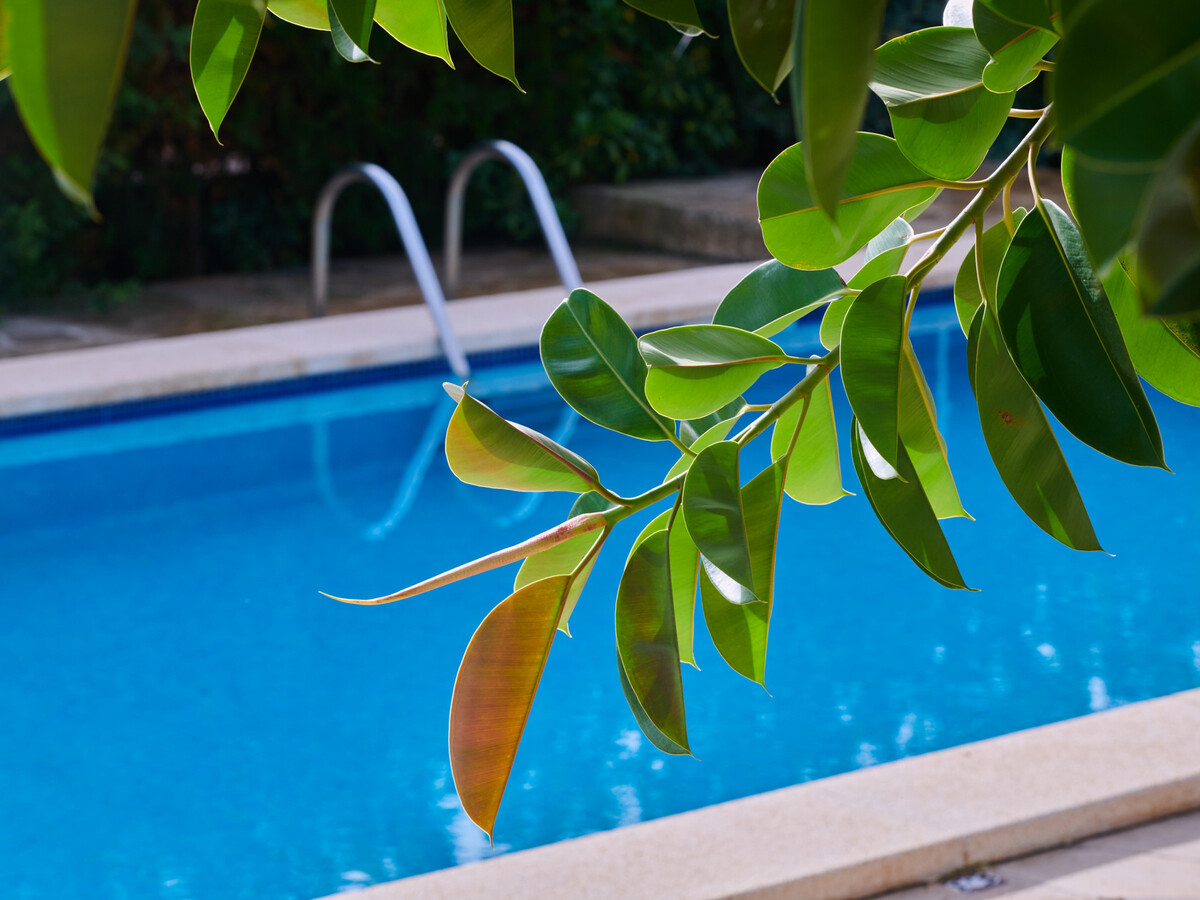 Villa Punta des Port à Porto Petro, 8 pers., piscine - Photo 35