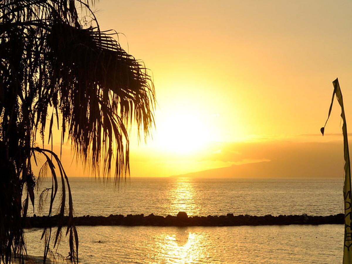 Studio vue mer avec piscine à Benalmádena - Photo 22
