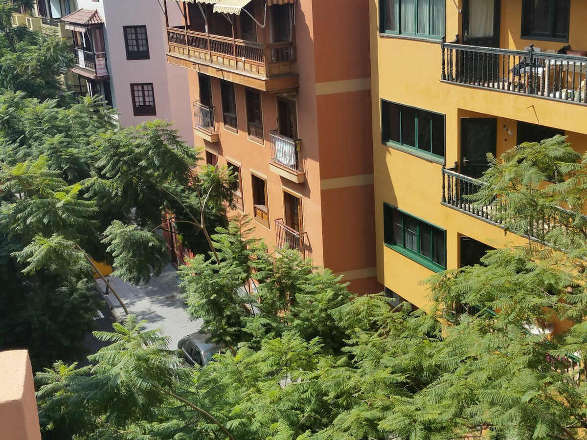 Studio Attique avec Terrasse à Puerto de la Cruz - Photo 13