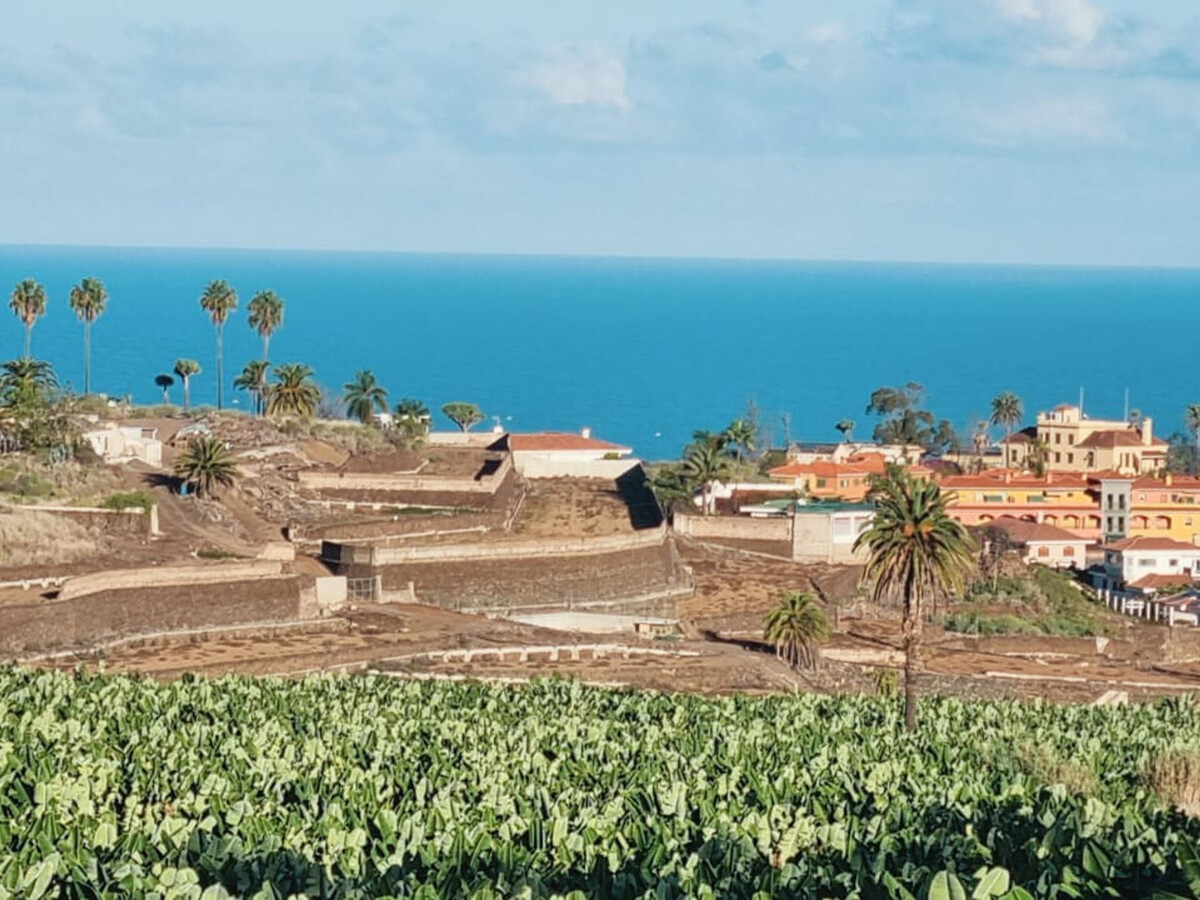 Appartement 5 pers. avec jacuzzi et vue Teide - Photo 15