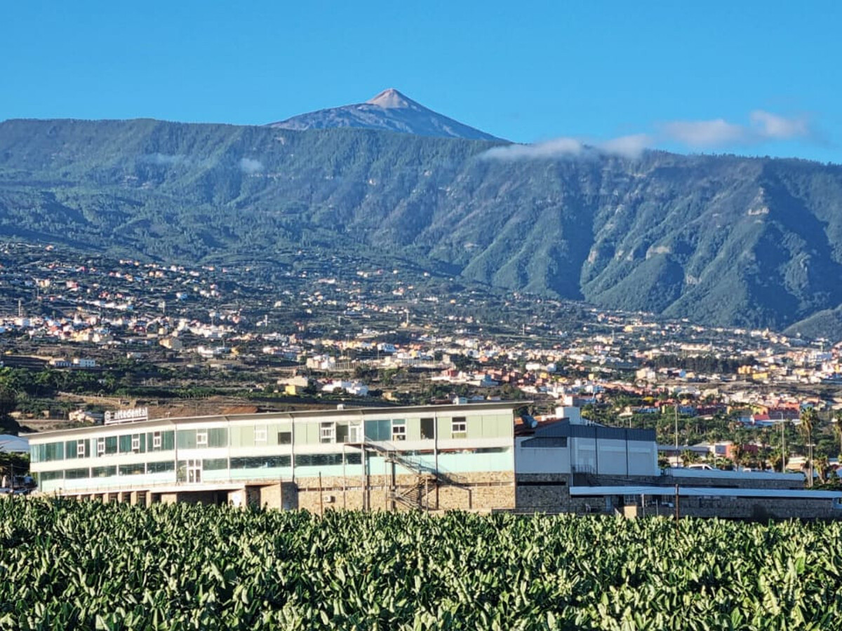 Appartement 5 pers. avec jacuzzi et vue Teide - Photo 16