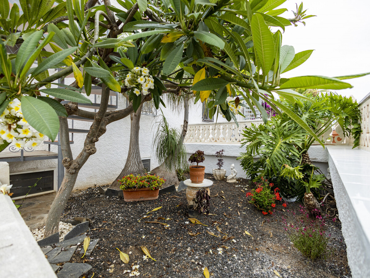 Appartement 3 pers. Los Realejos, terrasse vue mer - Photo 20