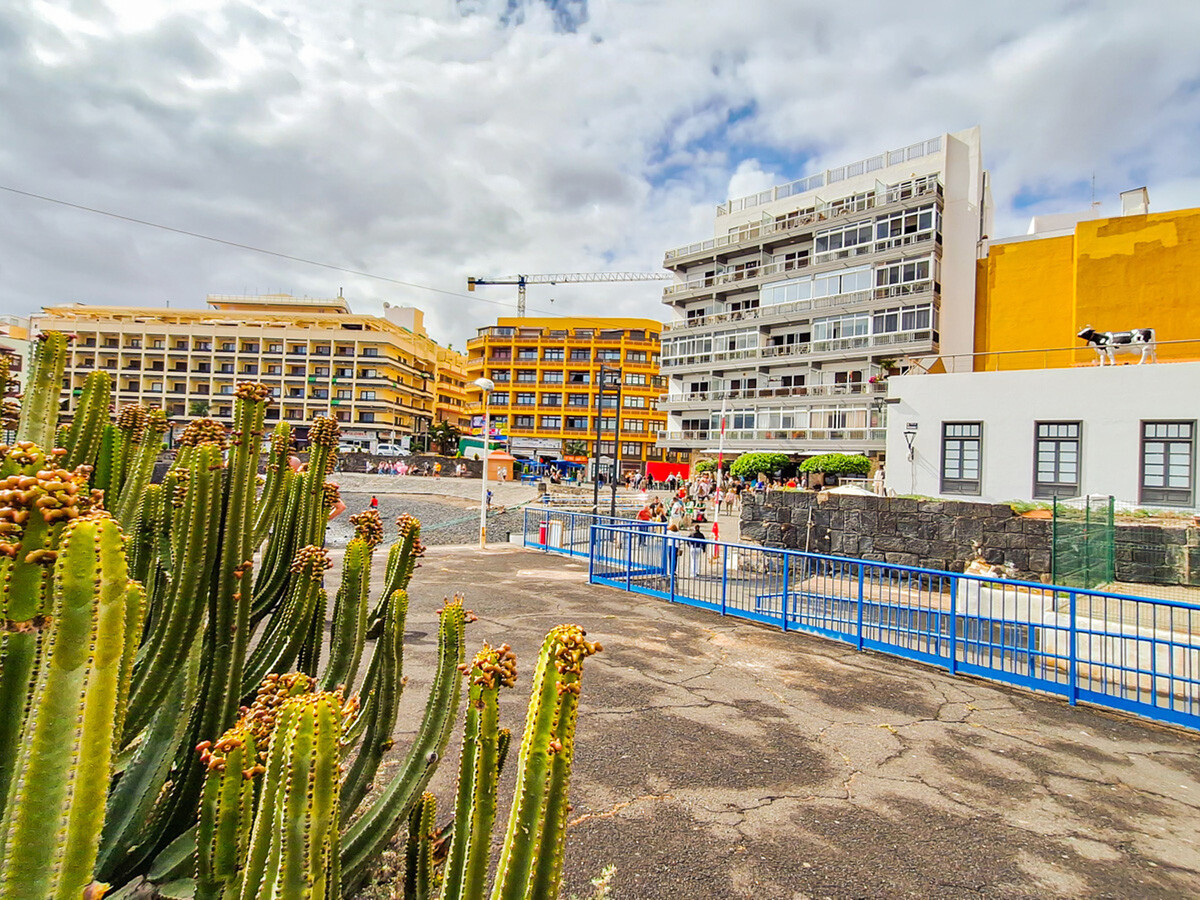 Studio rénové vue jetée à Puerto de la Cruz - Photo 20
