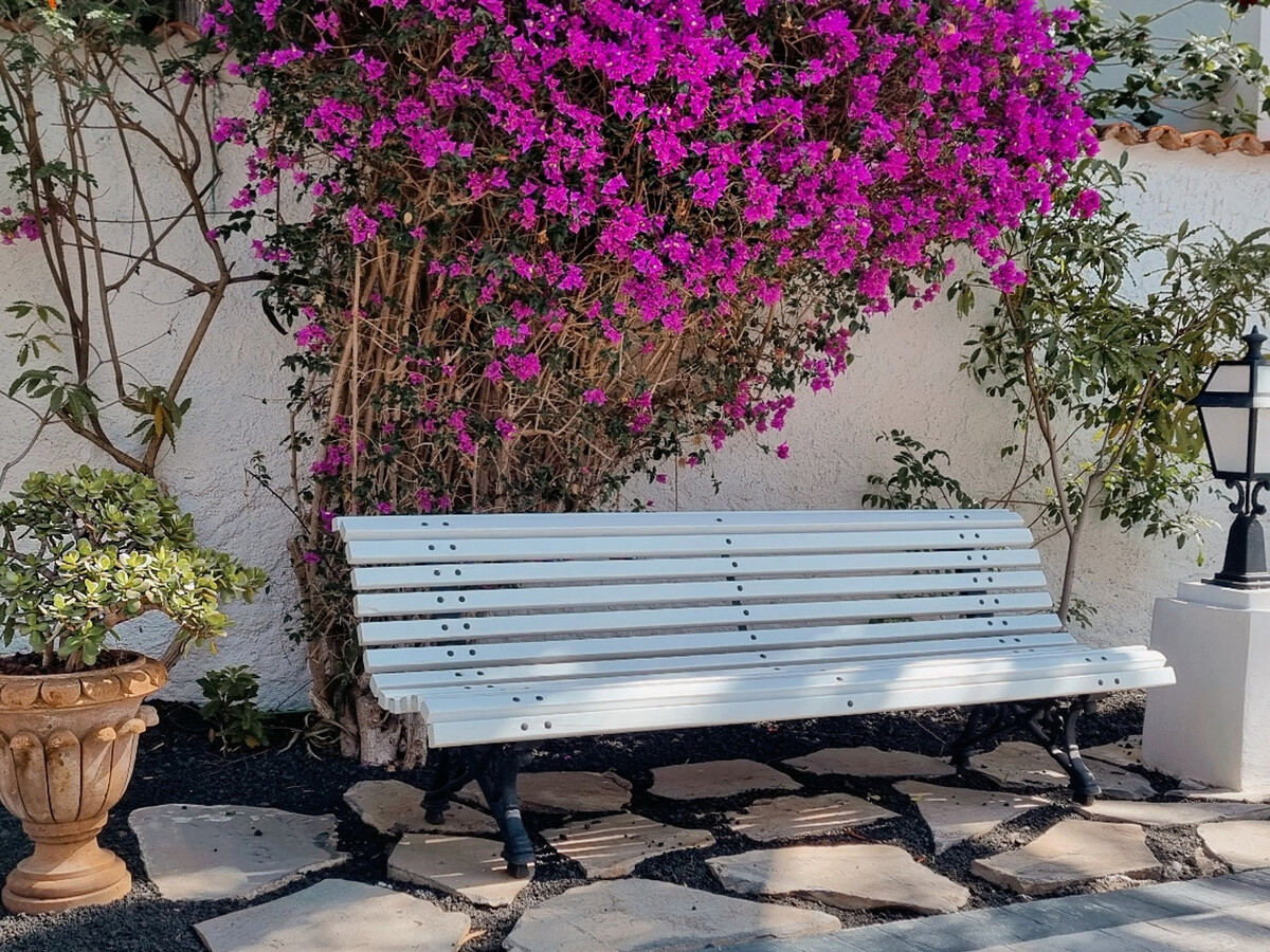 Appartement vue mer et terrasse vitrée à Puerto de la Cruz - Photo 25