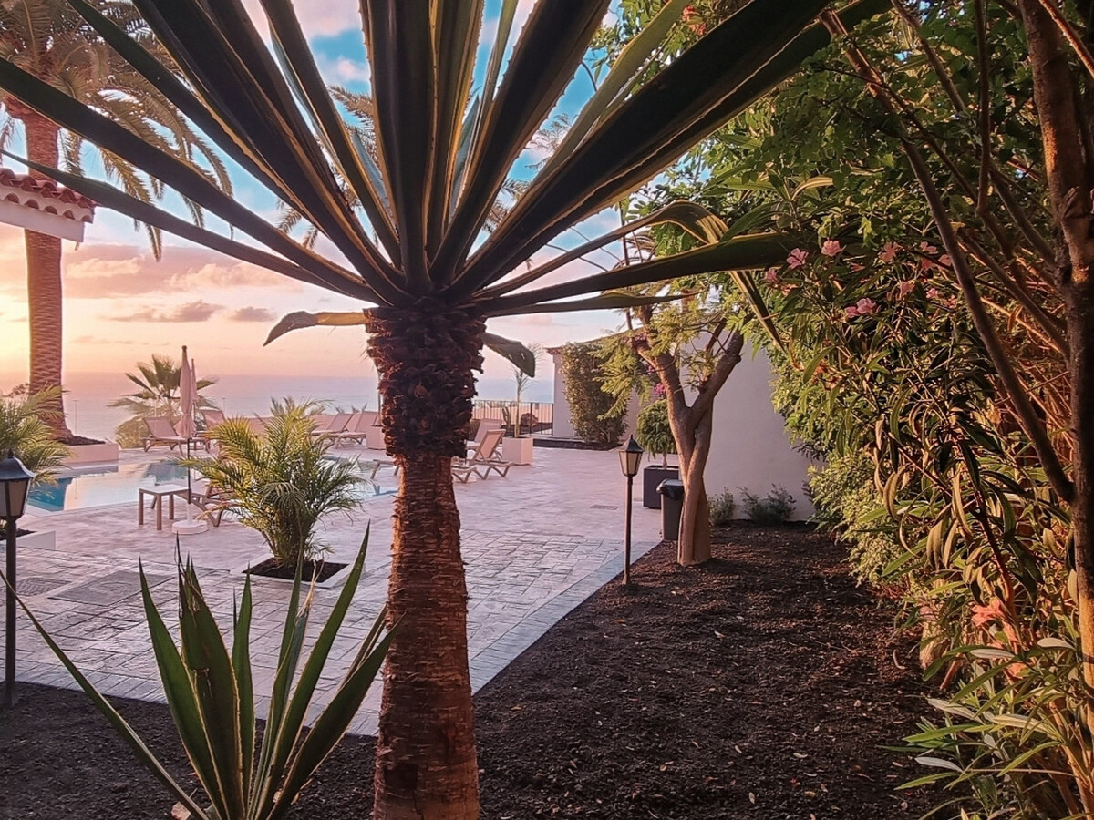 Appartement vue mer et terrasse vitrée à Puerto de la Cruz - Photo 27