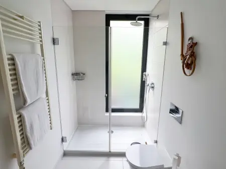 Villa Lieu des Lettres: 4 chambres, piscine privée Douro : photo 29