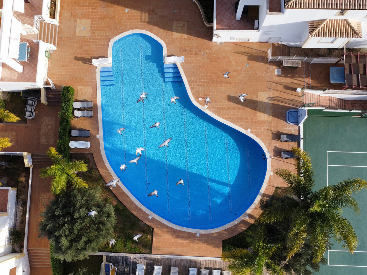 Appartement 2 Chambres, 15 Min d'Albufeira avec Piscine - Photo 1
