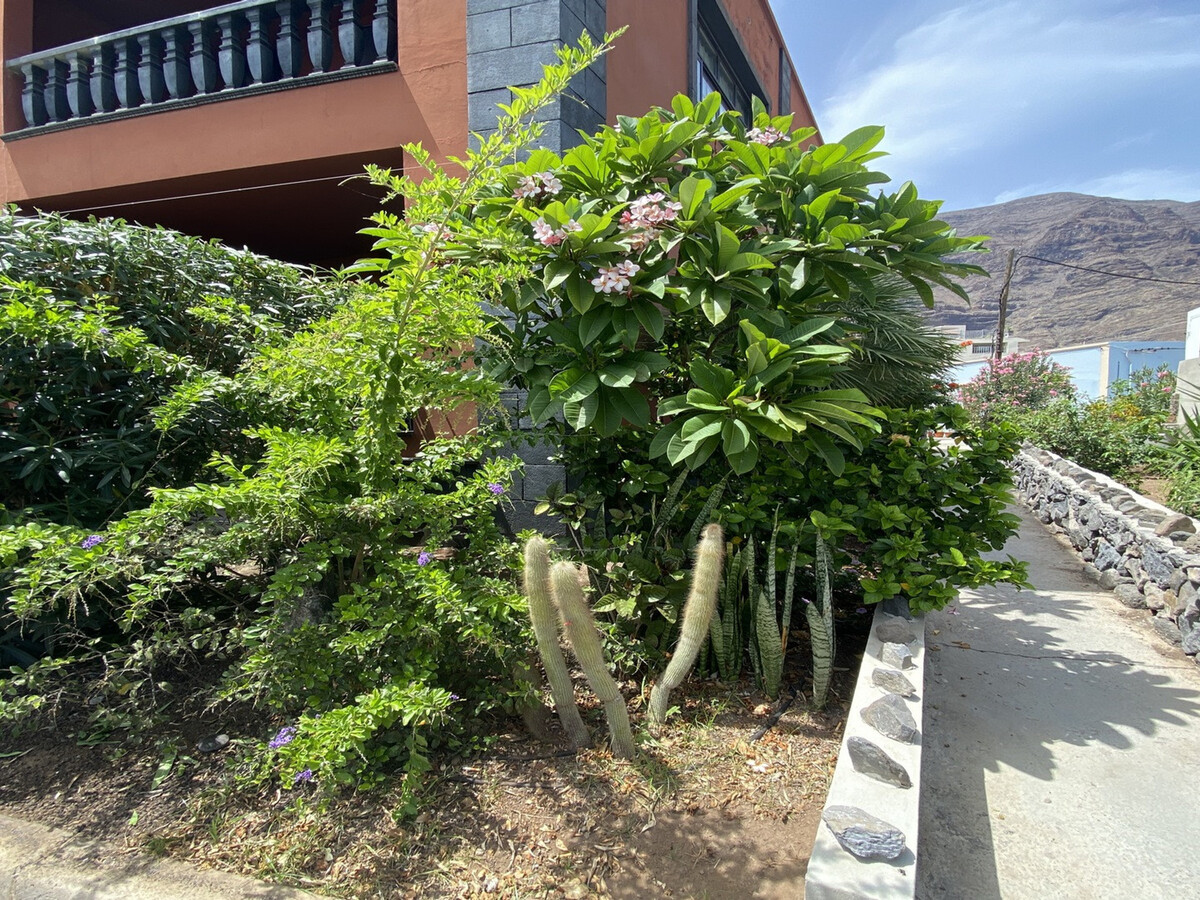 Studio vue mer et montagne, 45 m² en front de plage - Photo 30
