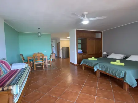 Location appartement à Valle Gran Rey, Studio confortable vue mer et montagne pour 2 personnes