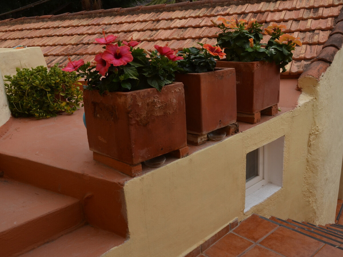 Casita 45m² Valle Gran Rey, 1 chambre avec terrasse - Photo 23
