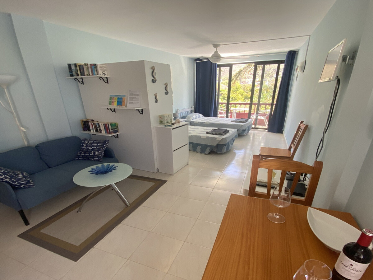 Studio 35m² à Valle Gran Rey avec balcon et wifi - Photo 17