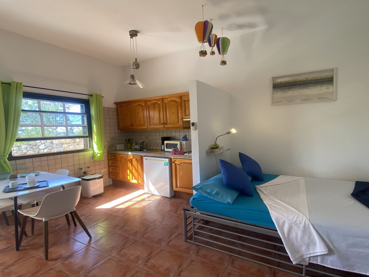 Studio 29m² terrasse à Valle Gran Rey - Photo 17
