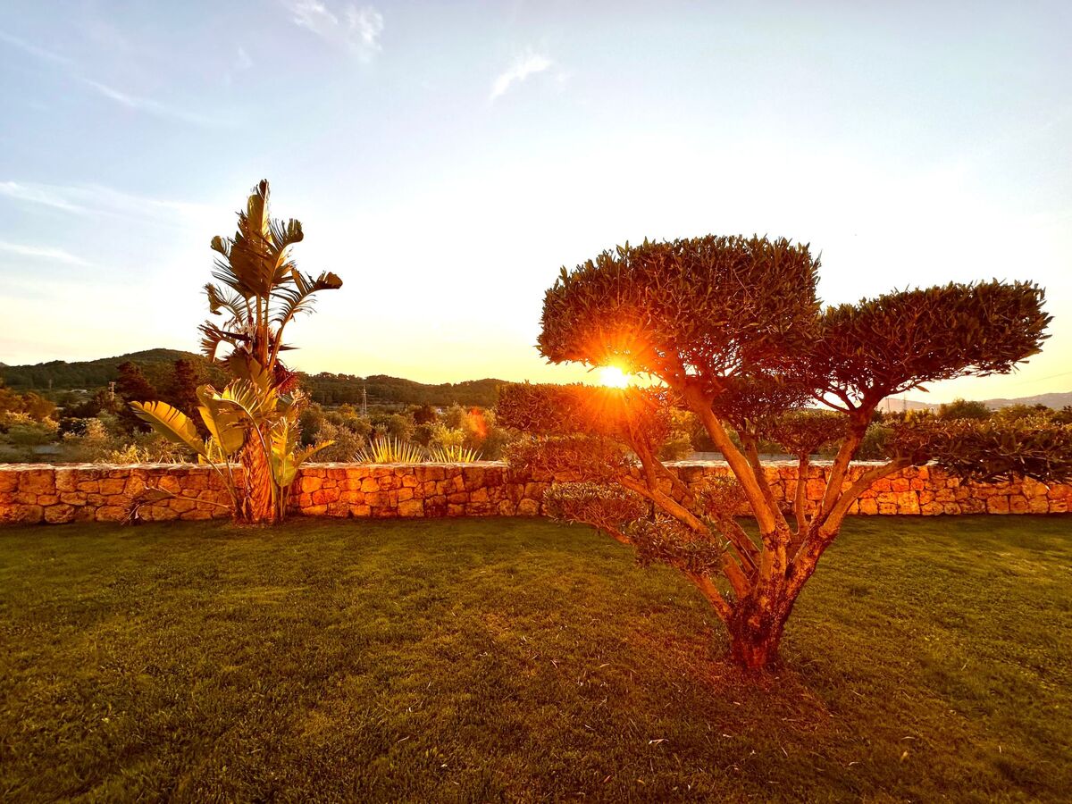 Villa Cas Hèspero – 5 chambres, piscine et jardin à Ibiza - Photo 5