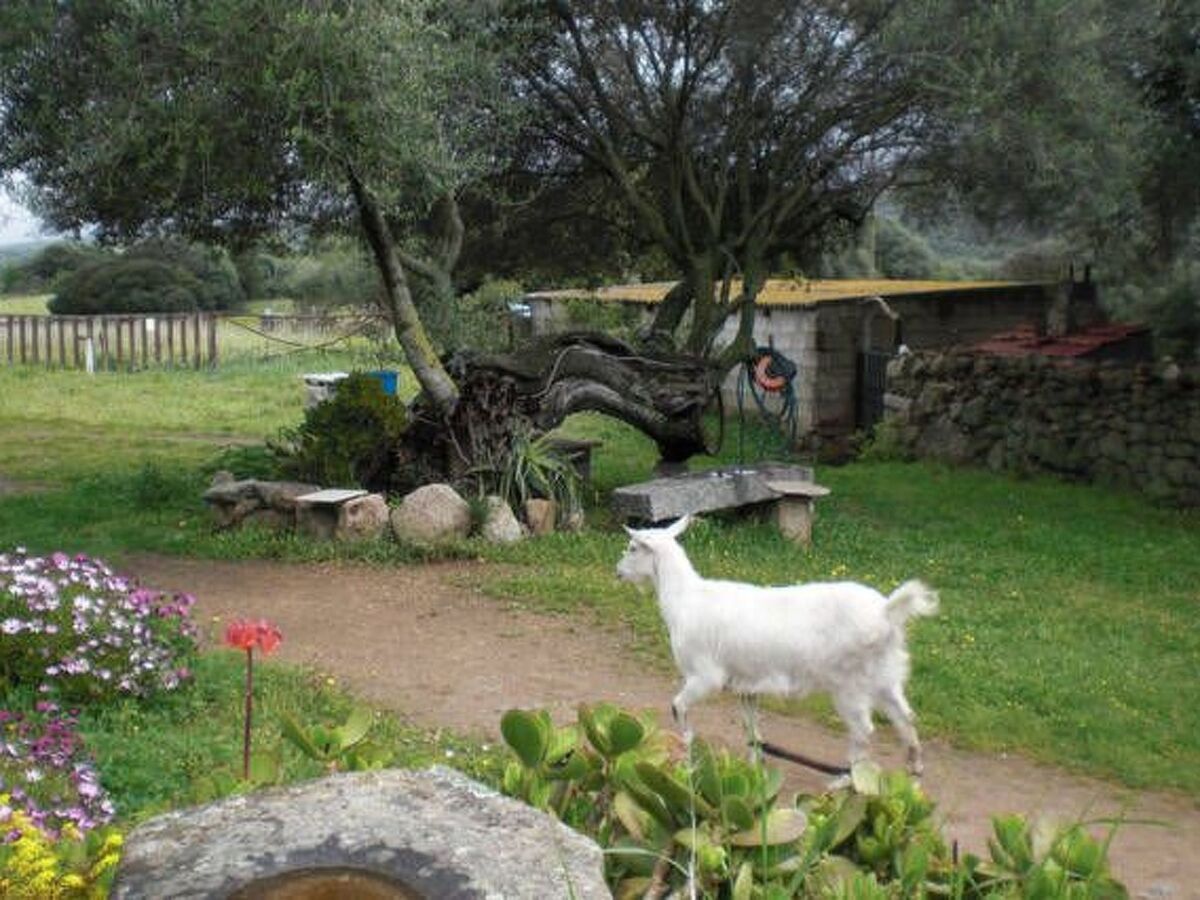 Stazzu Lu Malchesi, maison de campagne Arzachena - Photo 15