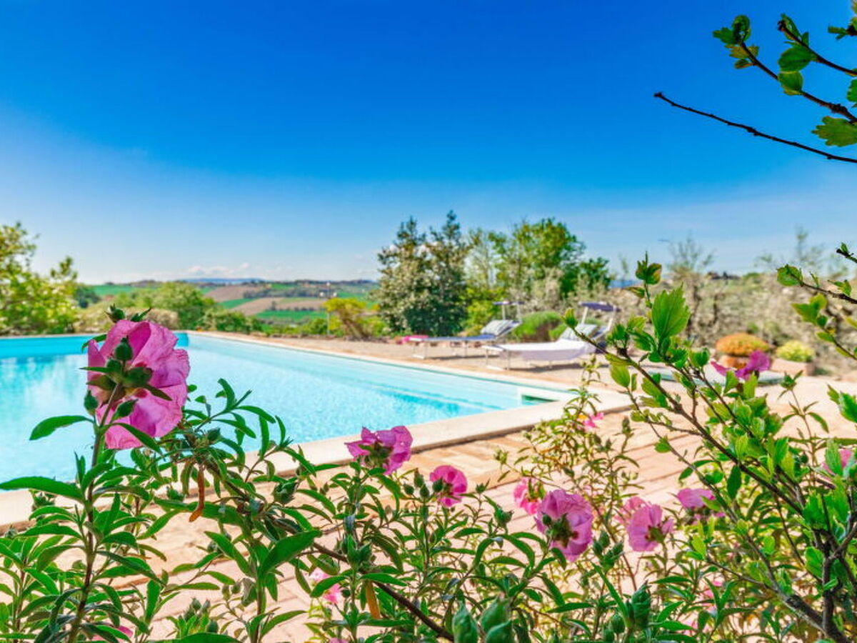 Casa Bellavista, villa 12 pers. piscine à Ostra - Photo 23