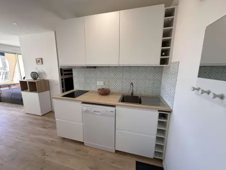 Appartement 2 pièces rénové, terrasse 12 m² et clim à Port Camargue : photo 8