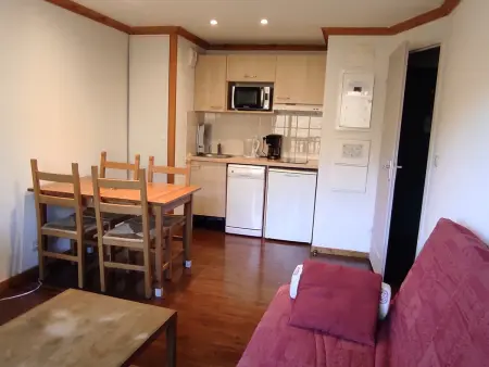 Appartement 32m² Super-Besse, terrasse sud face au Sancy - Photo 1