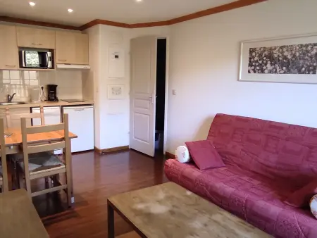 Appartement 32m² Super-Besse, terrasse sud face au Sancy - Photo 5