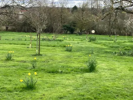 Gîte Les Bouinottes - 5 pers., jardin pédagogique : photo 14