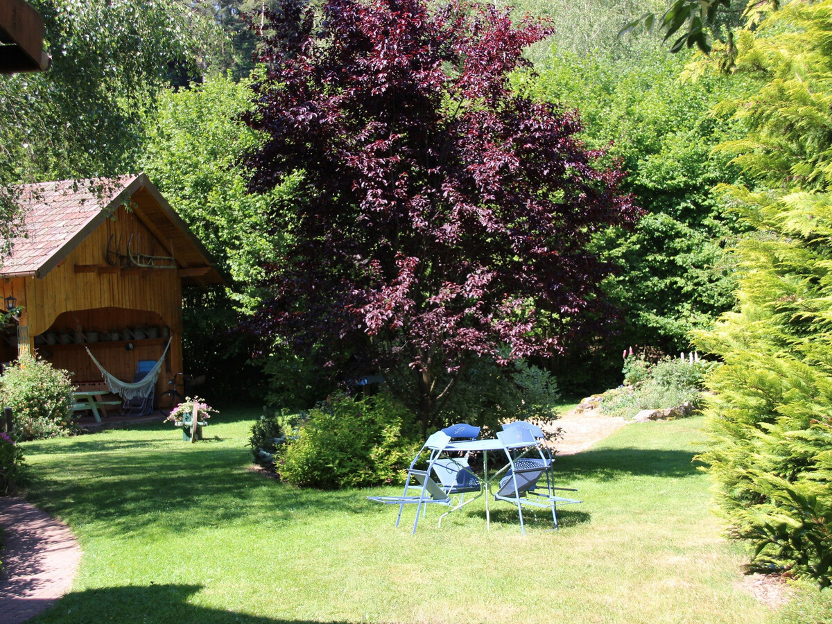 Gîte 80 m² avec jardin et jeux, accès randonnées Vosges - Photo 3