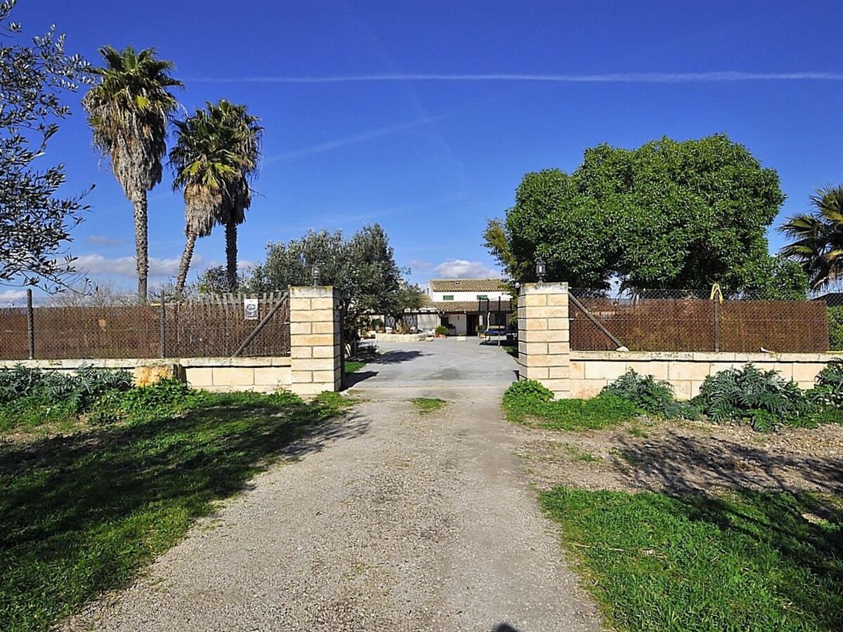 Finca Son Vanrell – Maison rustique avec piscine à Montuiri - Photo 27