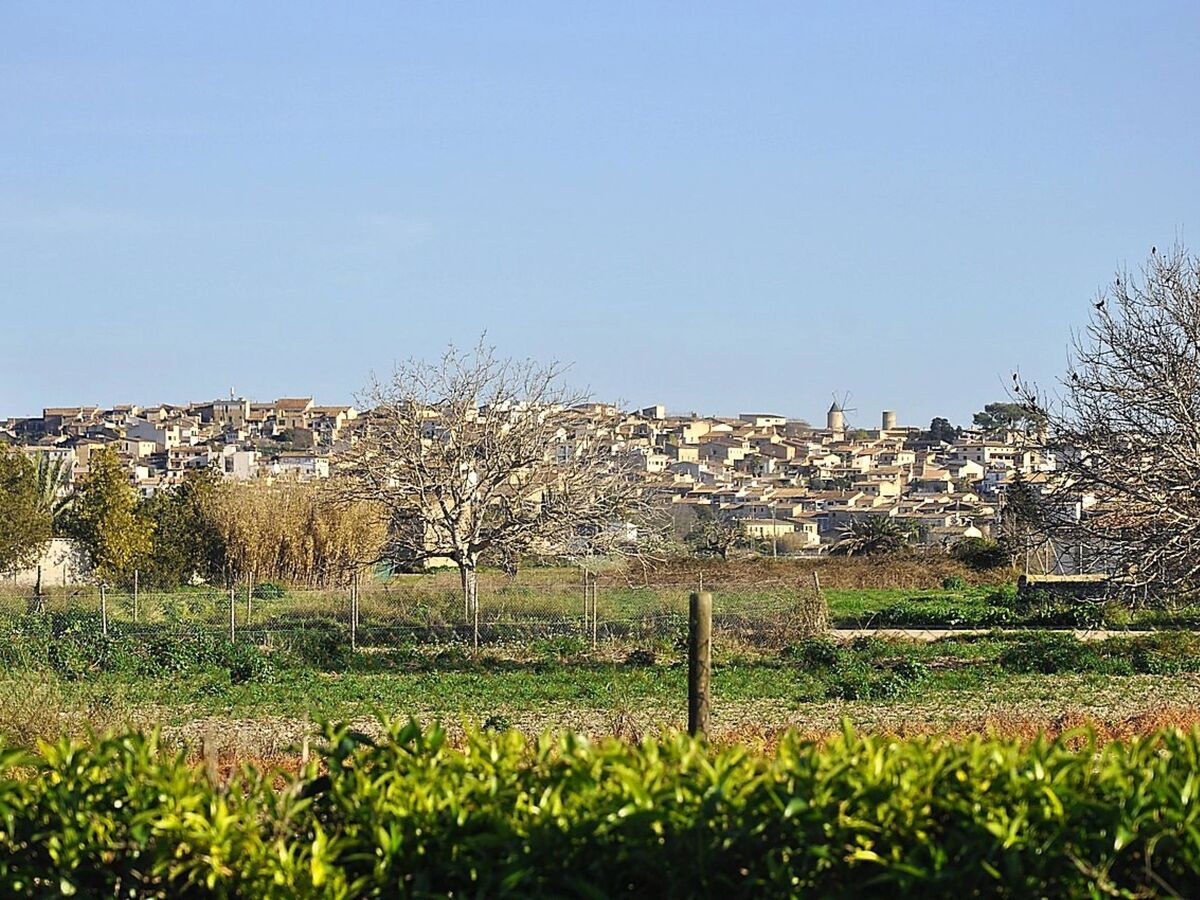 Finca Son Vanrell – Maison rustique avec piscine à Montuiri - Photo 28