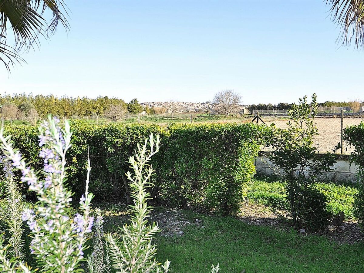 Finca Son Vanrell – Maison rustique avec piscine à Montuiri - Photo 30