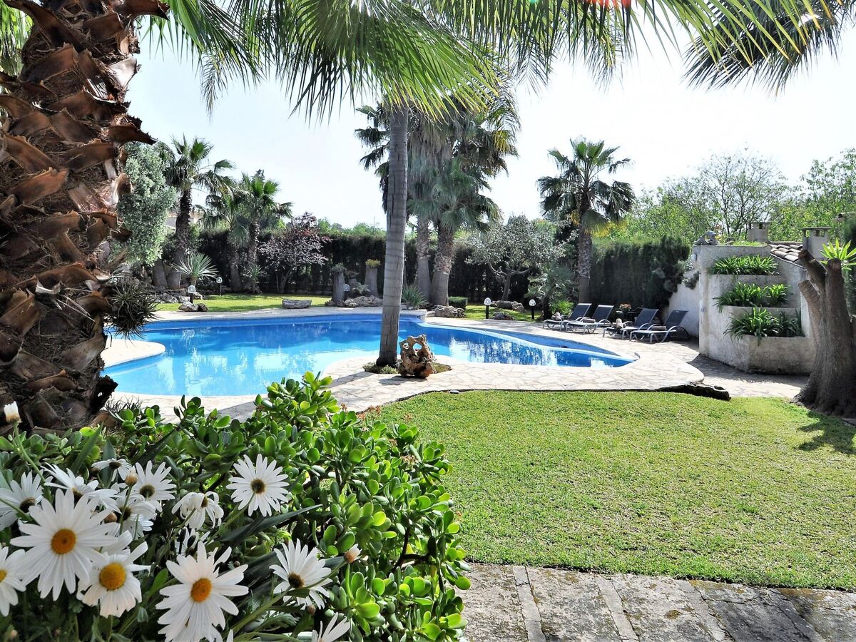 Finca CAN GUAL à Inca : maison 4 chambres, piscine et jardin - Photo 5