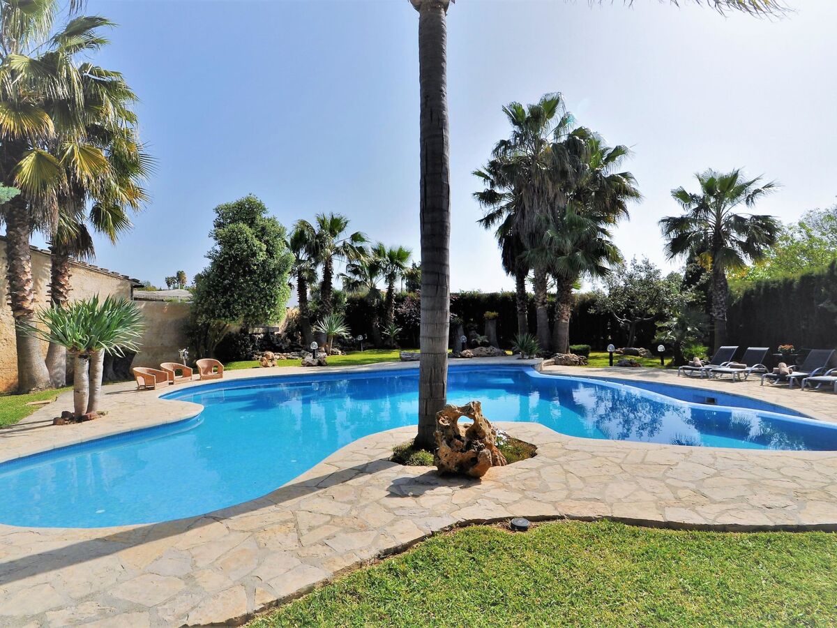 Finca CAN GUAL à Inca : maison 4 chambres, piscine et jardin - Photo 8