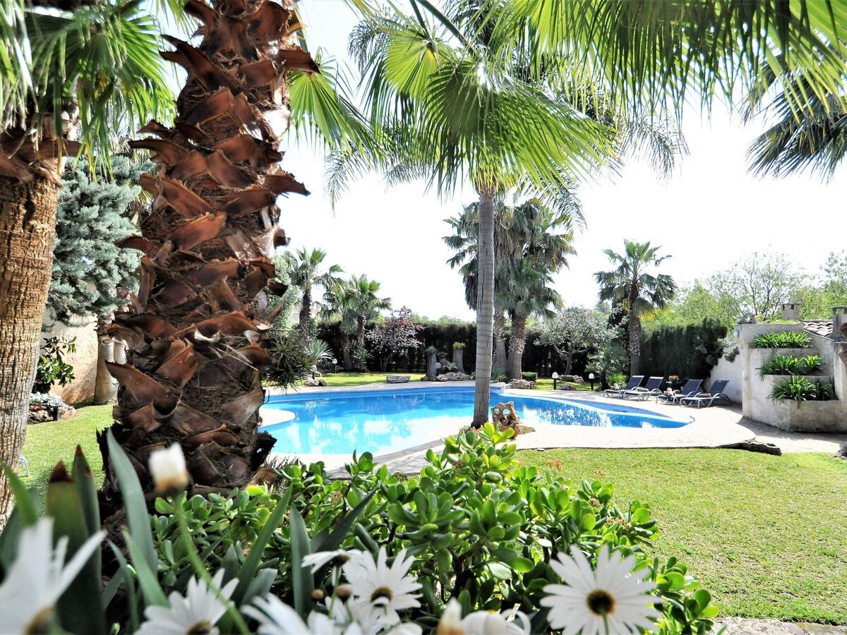 Finca CAN GUAL à Inca : maison 4 chambres, piscine et jardin - Photo 11