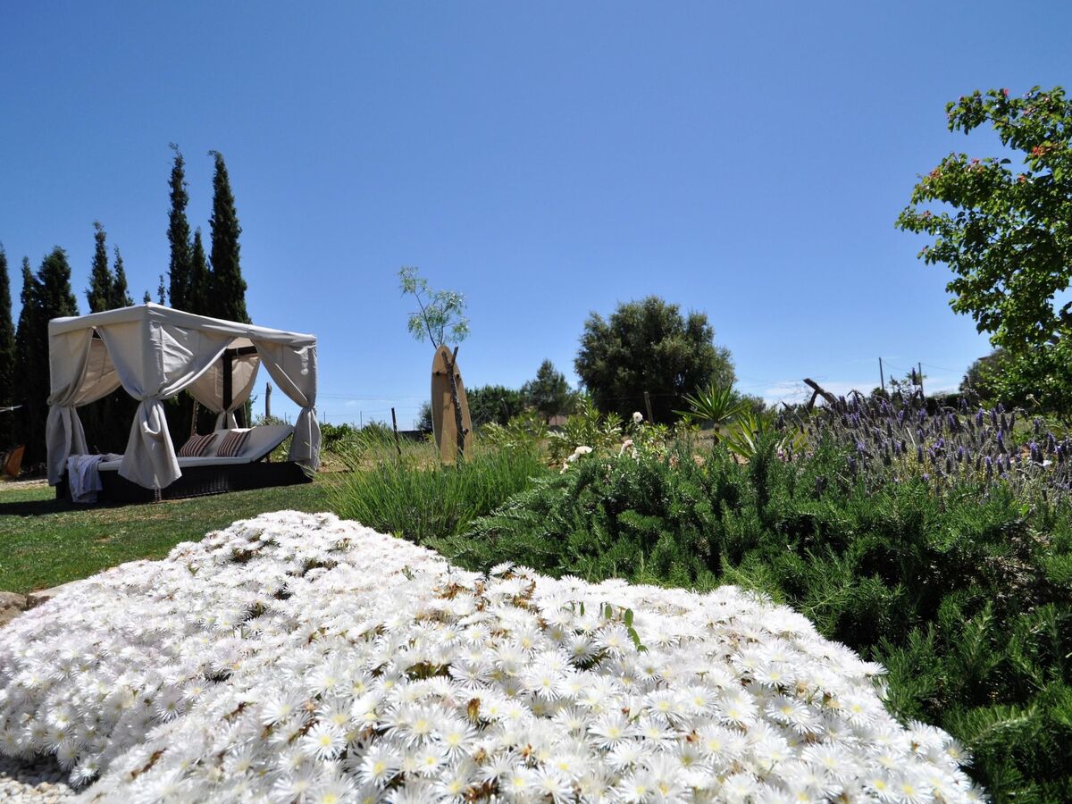 Villa Son Rubi : 4 chambres, piscine et barbecue en Serra de Tramuntana - Photo 25
