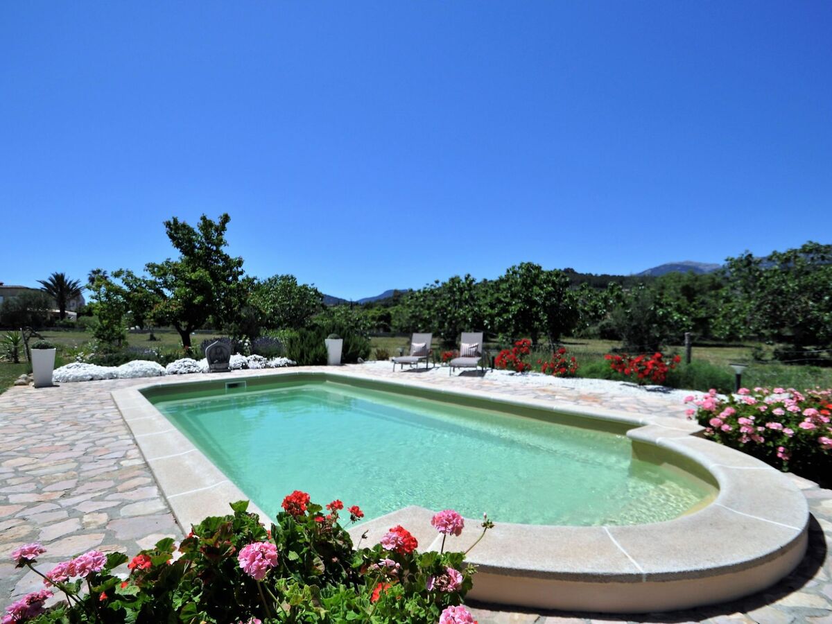 Villa Son Rubi : 4 chambres, piscine et barbecue en Serra de Tramuntana - Photo 30