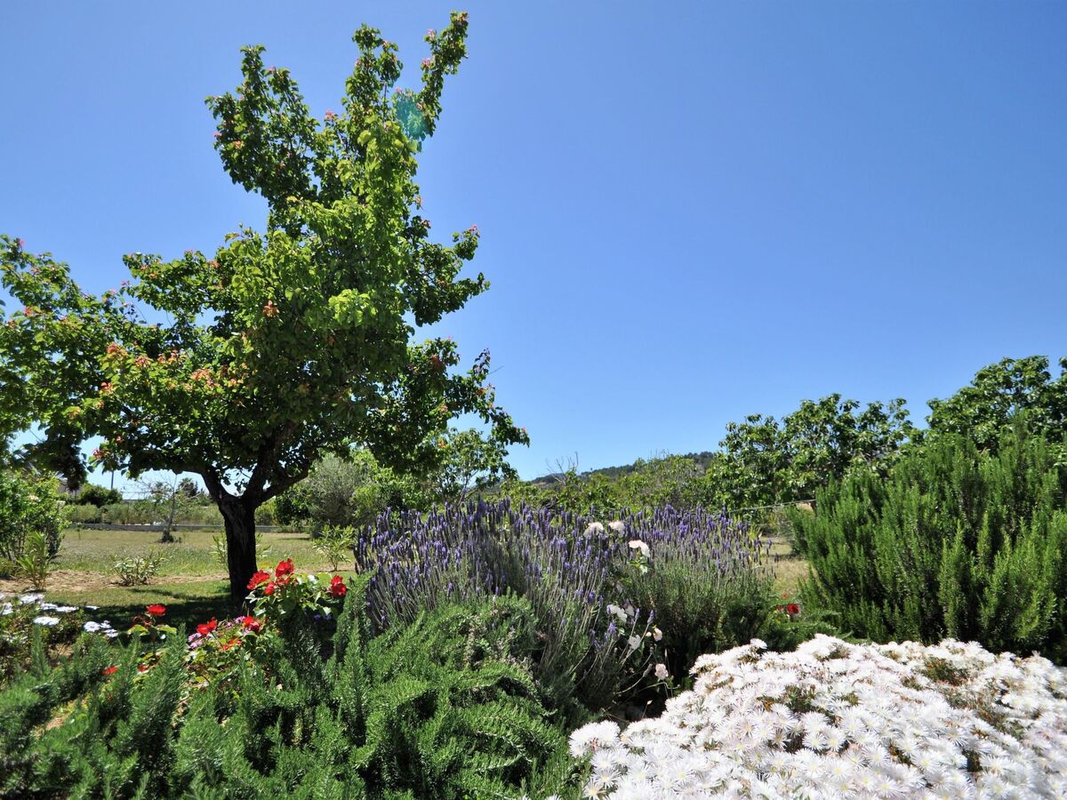 Villa Son Rubi : 4 chambres, piscine et barbecue en Serra de Tramuntana - Photo 35