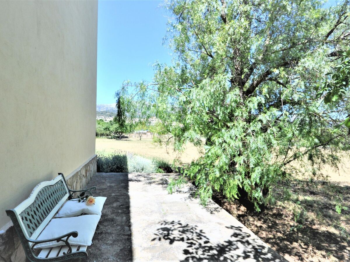 Villa Son Rubi : 4 chambres, piscine et barbecue en Serra de Tramuntana - Photo 42