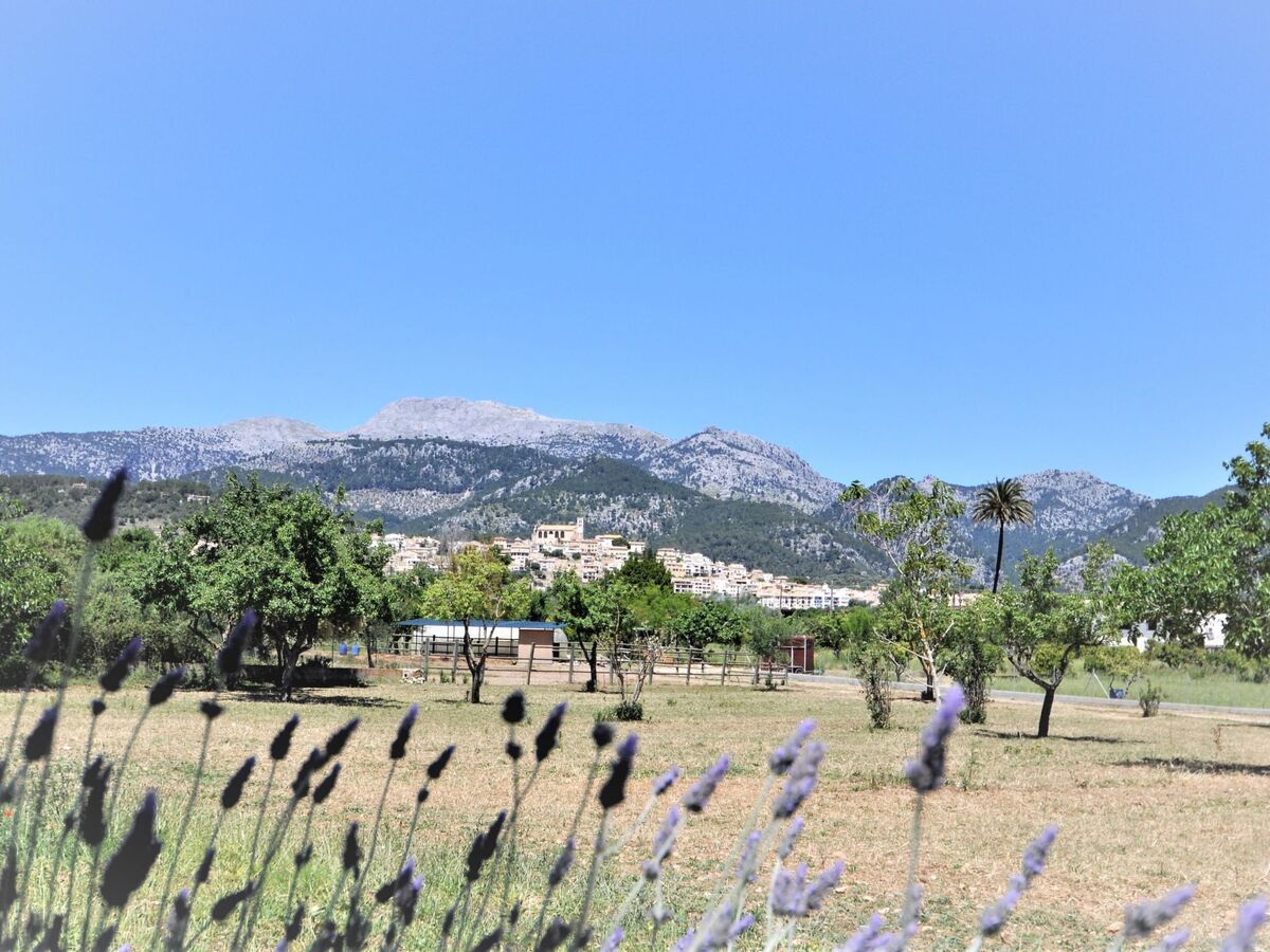 Villa Son Rubi : 4 chambres, piscine et barbecue en Serra de Tramuntana - Photo 44